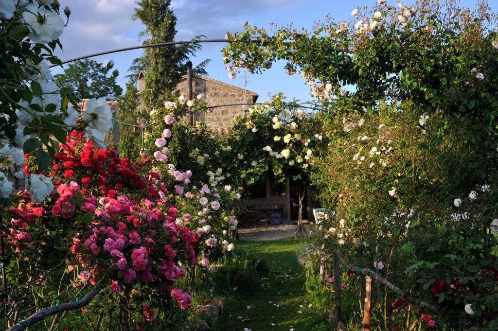 Locanda Ilune Πιτιλιάνο Εξωτερικό φωτογραφία