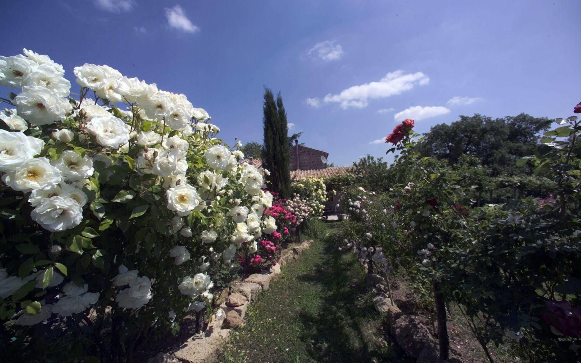 Locanda Ilune Πιτιλιάνο Εξωτερικό φωτογραφία